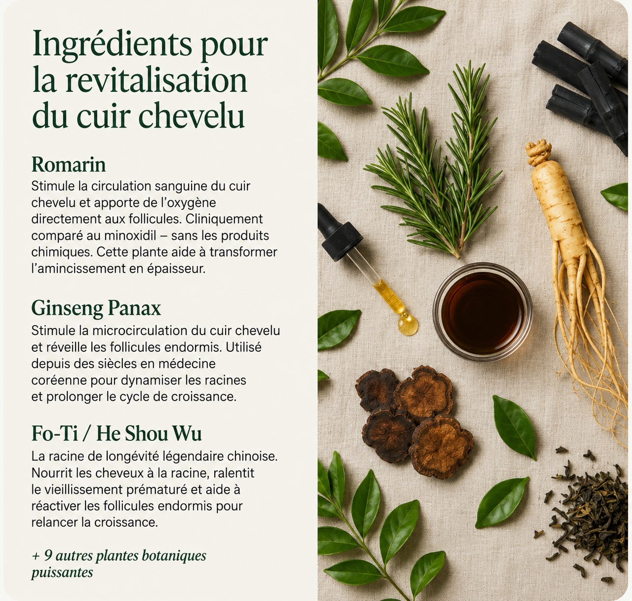 SOLANE N°01 – Shampoing Solide Anti-Chute | Cheveux Plus Forts & Plus Denses